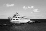 island queen b&w
