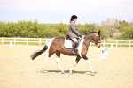 SBM_007986