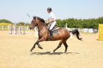 SBM_001201