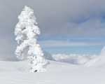 Winter - 1