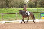 Unaffiliated Dressage portfolio