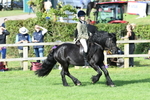 SBM_51983