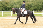 SBM_002985