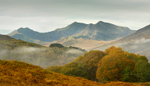 Pedol Yr Wyddfa