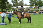 SBM_46863