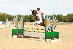 SBM_002833