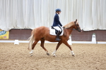SBM_000559