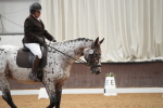 SBM_001944