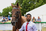 010826-Race 3-Brighton Beach-2804