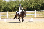 SBM_003528