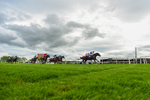 Race 5 16.15pm Free Digital Racecard At raceday-ready.com Handicap portfolio