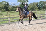 BPP_3151