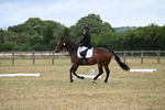 WJ6_1756