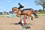 Cls 31, YH 6yr 1.20m portfolio