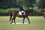 WJ6_5350