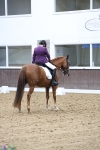 SBM_007499
