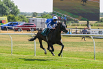 150726-Race 2-South West-2960