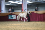 SBM_15206