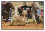 Steer Wrestling 2