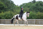 Class 7: Novice 4 2024 Section B portfolio