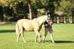 SBM_15840