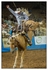 Sports Portfolio-10