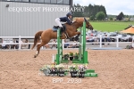BPP_2930