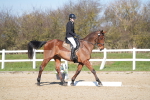 SBM_002279
