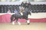 SBM_23804
