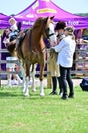 SBM_03920