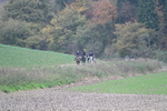 WJ7_9131