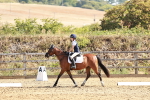 SBM_000689