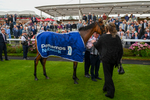 220824-Race 4-Content-7094
