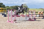 CLASS 7 SAT Blue Chip Pony Newcomers/ 1m Open portfolio