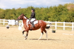 SBM_011856