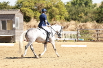 SBM_001446