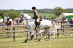 SBM_15078