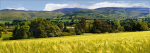 Moel Famau from Llanychan