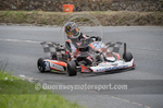 Hillclimb_30-05-2016_KART-21