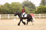 SBM_000164