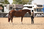 SBM_08184
