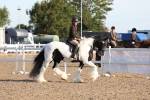 SBM_10881