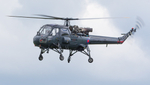 Westland Wasp