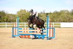 SBM_003049