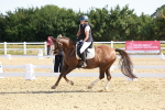 SBM_008400