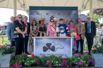 Race 7 5.20pm Irish Thoroughbred Marketing Handicap portfolio