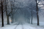 Clifton in snow_B0154