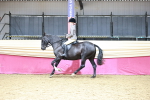 SBM_02205