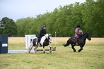 WJ6_0905