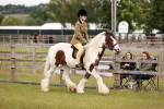 SBM_06093